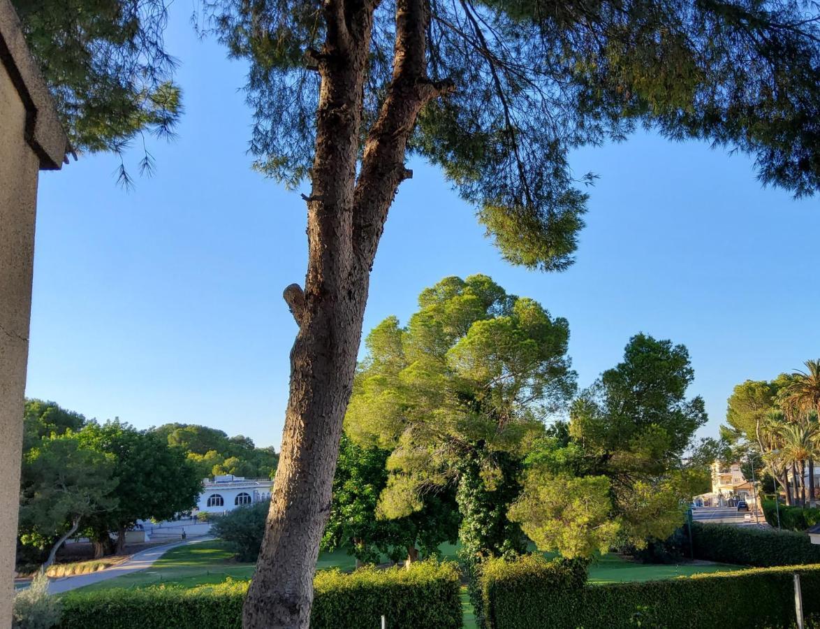 Villa Descanso Golf Villamartin  Kültér fotó