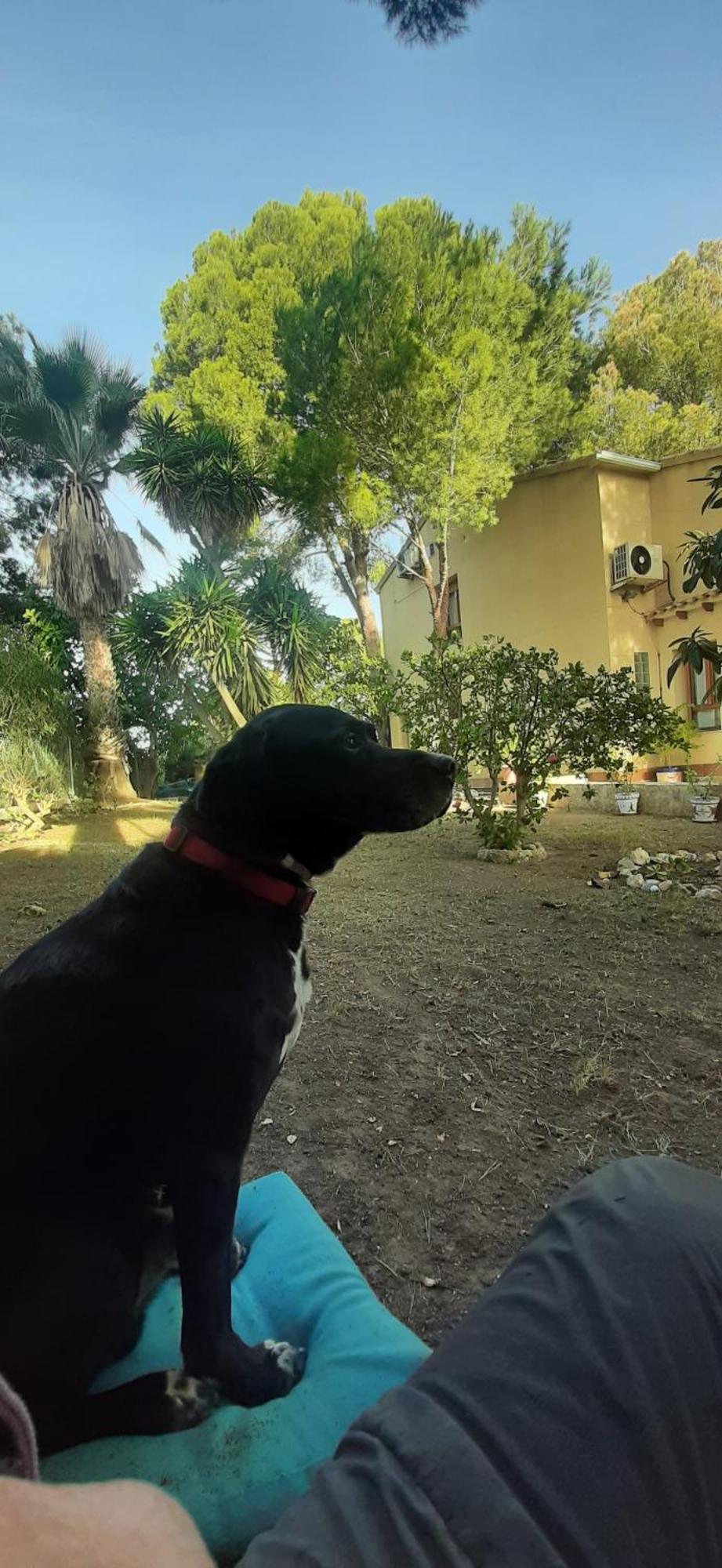 Villa Descanso Golf Villamartin  Kültér fotó